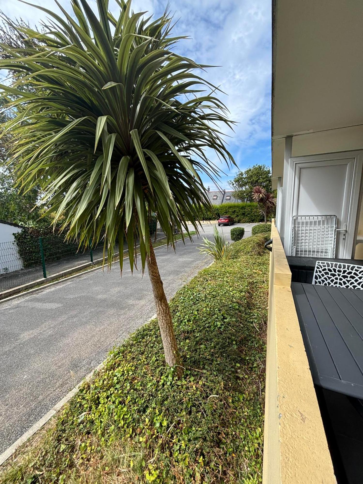 Appartement Studio 4 Personnes Dans Residence Avec Piscine Quiberon Exterior foto